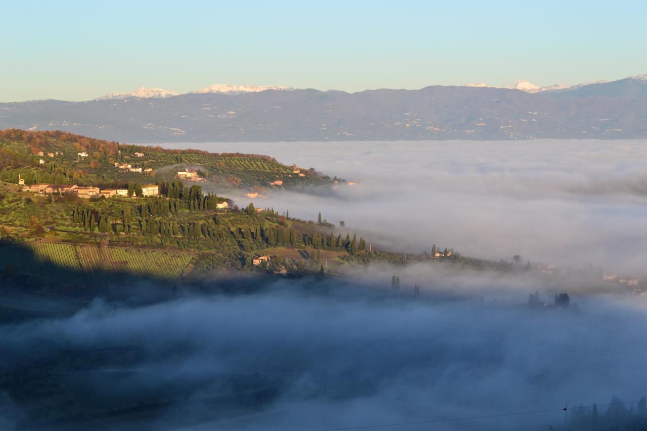 Bed and Breakfast Tenuta Di Capezzana Seano Экстерьер фото