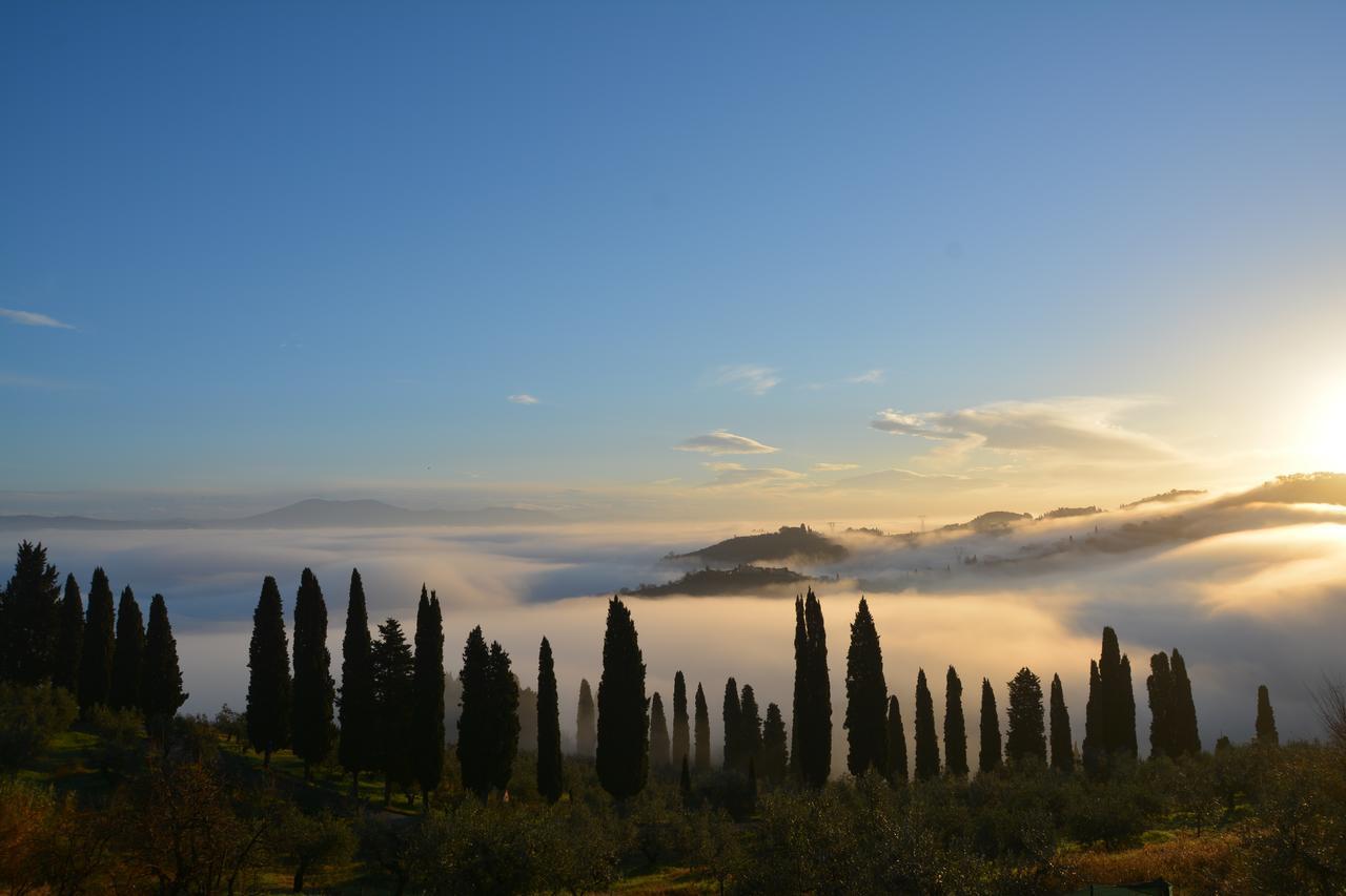 Bed and Breakfast Tenuta Di Capezzana Seano Экстерьер фото